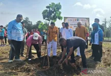 North Kalimantan Buddhists Plant Sacred Bodhi Tree to Mark Vesak
