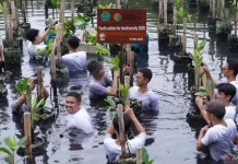 GIZ and Ministry Boost Youth Environmental Literacy Through Mangrove Education