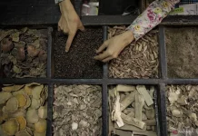 BPOM Launches Jamu Week 2026 to Expand Indonesia’s Global Herbal Market