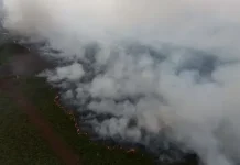 Wildfires in West Aceh Destroy 13 Hektaras of Land