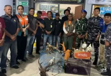 Ambon Port Raid Foils Illegal Wildlife Smuggling Plot