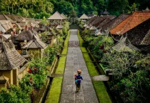 Bali Pitches Sustainable Green Growth to Global Investors