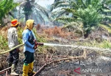 Nagan Raya Wildfire Explodes to 60 Hectares Amid Water Scarcity
