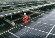 Lawmaker Urges Increased Budget Allocation for New and Renewable Energy