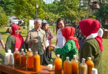 Jamu Promoted as Indonesia’s Next Global Creative Force
