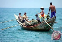 Indonesian Waters Enter Early Phase of Rising Marine Productivity