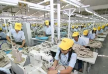 Deputy Minister Urges Collaboration on Labor Law Reform