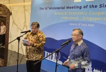 Indonesia-Singapore Push Economic Ties with Digital and Green Energy Focus