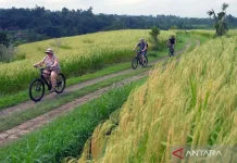 The Seeds of Change Program Supports Sustainable Tourism Innovation
