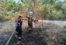 Indonesia and Korea Strengthen Joint Efforts Against Forest Fires