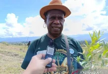 Papua Pegunungan Launches 'Green the Valley' Initiative to Combat Deforestation