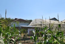 UGM Brings Solar-Powered Smart Farming to Indonesian Village