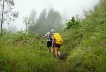 Authorities Urge Hikers to Strictly Obey Climbing Rules on Mount Rinjani