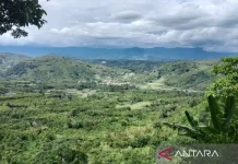 Kerinci’s Lekuk Limapuluh Tumbi Wins Jambi Customary Forest Award
