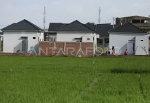 House Urges Halt to Farmland Conversion to Safeguard Food Sovereignty