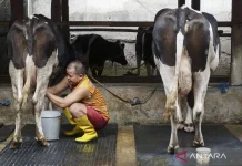 New Presidential Order Targets Higher Fresh Milk Production (baru draft)