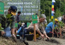 Southwest Papua Plants 5,000 Trees for Climate Campaign