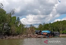 Joint Team Halts 15 Illegal Tin Mining Pontoons in West Bangka