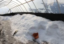 UGM Pushes Innovation to Tackle Indonesia’s Salt Self-Sufficiency Challenge