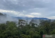 Ministry Pushes Local Wisdom Regulation to Ensure Inclusive Conservation