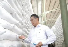 Indonesia Declares Food Self‑Sufficiency with 73 Million Tons of Production