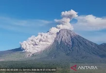 Mount Semeru Unleashes Pyroclastic Flows Stretching 4.5 Kilometers