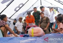 Sigi Earthquake Damages Over 2,300 Homes, Recovery Underway