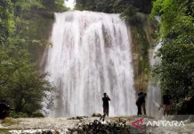 East Kalimantan Enforces Strict Protection Over Lingkacan Waterfall Ecosystem
