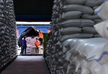 Indonesia Remains Southeast Asia’s Top Rice Producer, FAO Reports
