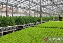 Banten Launches Smart Farming Initiatives to Attract Young Farmers