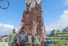 Kerinci Seblat National Park Steps Up Forest Restoration in Bengkulu
