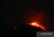 Mount Ili Lewotolok Erupts, Spewing a 600-Meter Ash Column Over Lembata