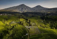 Tri Hita Karana is Globally Relevant to Future Food Development: FAO Indonesia