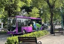 Govt EV Incentives Seen Driving Market Growth