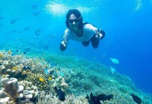 East Kalimantan Uses New Agency Model to Boost Derawan Marine Economy