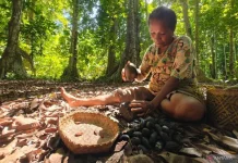 Alor Kenari Gains Geographical Indication to Drive Local Economic Growth