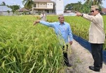 President Prabowo Calls Farmers and Fishermen Nation’s Backbone