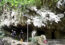 Berau Pushes UNESCO Geopark Recognition With UGM Partnership