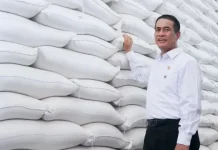 Strong Rice Stockpiles Shield Nation from El Niño Impact