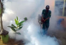 Tanjungpinang City Tackles 518 Malaria Cases by Targeting Mosquito Breeding Site
