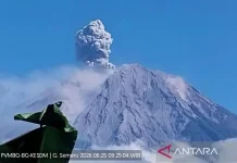 Mount Semeru Erupts Five Times, Sends Ash 1.2 Kilometers High