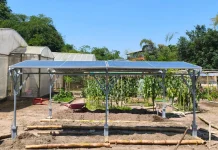 UGM Researchers Pioneer Agrivoltaic Innovation for Sustainable Farming