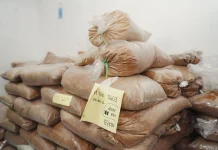 Indonesia Successfully Exports US$46,000 of Coconut Sugar to US