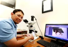 Researchers at Brawijaya University Discover Four New Beetle Species
