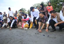 Mampie Turtle Festival in West Sulawesi Drives Long-Term Coastal Protection