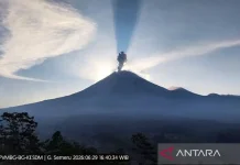 Mount Semeru Erupts, Sends 1.2-Kilometer Ash Column Into Sky