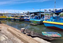 Indonesia Launches Ocean Calculator to Measure Marine Economic Value