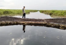 Indonesia to Lead Strengthening of Global Peatland Collaboration Platform