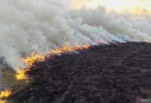 Six Hectares of Sukoharjo Vegetation Destroyed by Fire (kurang penting)