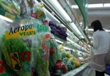 Tech Reformulation Reshapes Indonesia’s Healthy Food Market
